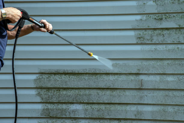 Best Roof Power Washing Services  in Lakeland, TN